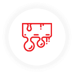 Опыт более 10 лет